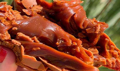 latto